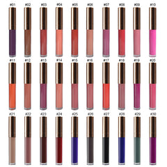 Matte Lasting Color Lip Gloss
