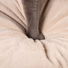 Kasentex Soft Cat Bed - Cozy Pet Bed Cushion