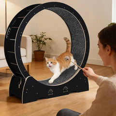 Wooden Cat Exercise Wheel for Indoor Cats