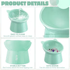 3 Pack Elevated Cat Bowls - 15° Tilted Anti Vomit Slow Feeder Dish with Non-Slip Base, Spine & Neck Support for Cats & Small Dog