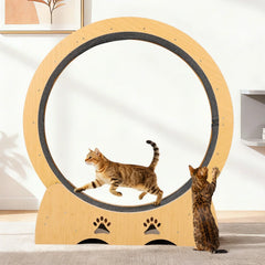 Wooden Cat Exercise Wheel for Indoor Cats