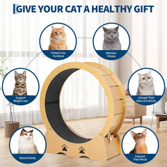 Wooden Cat Exercise Wheel for Indoor Cats