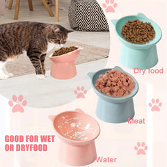 3 Pack Elevated Cat Bowls - 15° Tilted Anti Vomit Slow Feeder Dish with Non-Slip Base, Spine & Neck Support for Cats & Small Dog