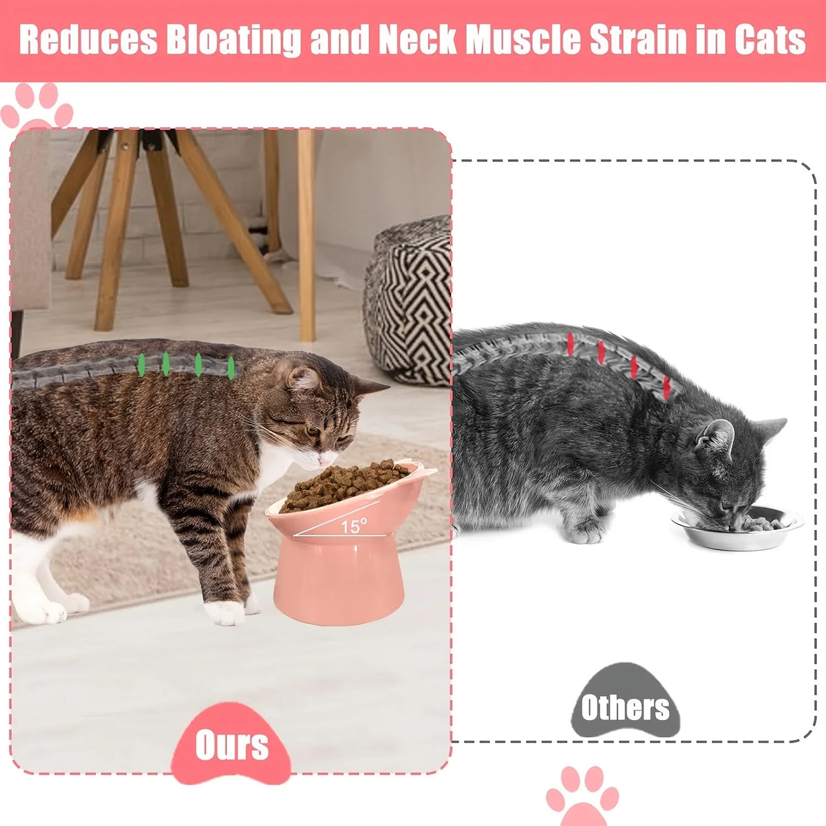 3 Pack Elevated Cat Bowls - 15° Tilted Anti Vomit Slow Feeder Dish with Non-Slip Base, Spine & Neck Support for Cats & Small Dog