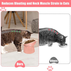 3 Pack Elevated Cat Bowls - 15° Tilted Anti Vomit Slow Feeder Dish with Non-Slip Base, Spine & Neck Support for Cats & Small Dog