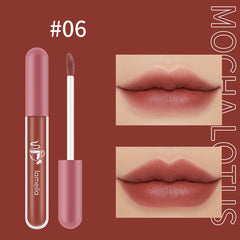 Matte Moisturizing Nourishing Lipstick and Glaze