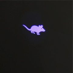 Funny Pet LED Laser Toy Cat Laser Toy Cat Pointer Light Pen Interactive Toy With Bright Animation Mouse Shadow Small Animal Toys Red Dot LED Light Pointer Interactive Toys for Indoor Cats Dogs Of Long Range